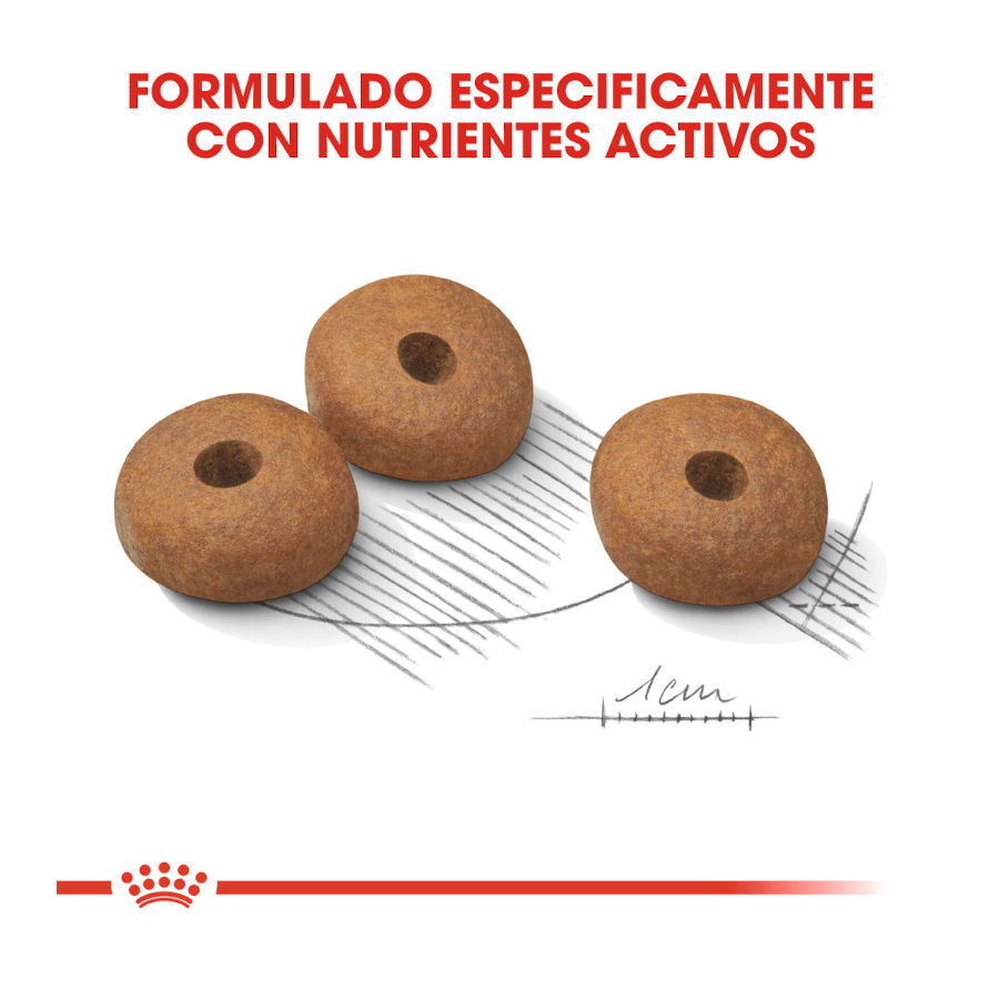 3 kg Royal Canin Medium Light Weight Care pienso para perros, , large indicador imagen numero 4
